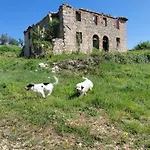 דירה Casa Oliva