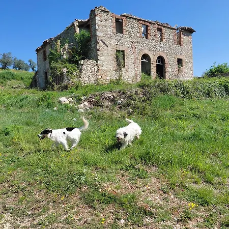 Appartamento Casa Oliva